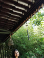 Vo Thi Thao Uyen