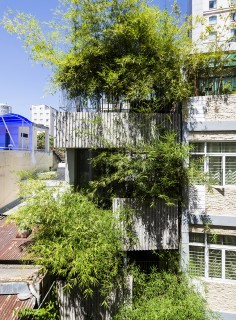 Bamboo House